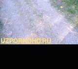 Ormonda 7zbek qisi sikishayabdi srka zapal