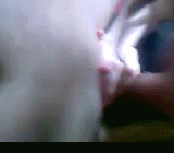 красота узбекских ног - #uzbeksekssaytlari студентка в эротической позе с длинными ногами.