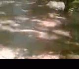 Darina Toshkenda zor minet kivopti yigitga